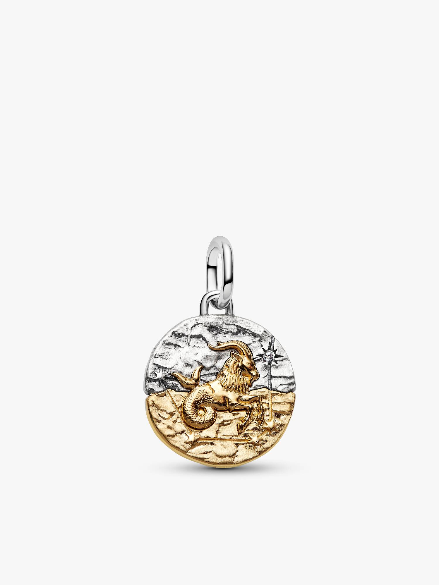 Charm Medalhão do Zodíaco do signo de Capricórnio