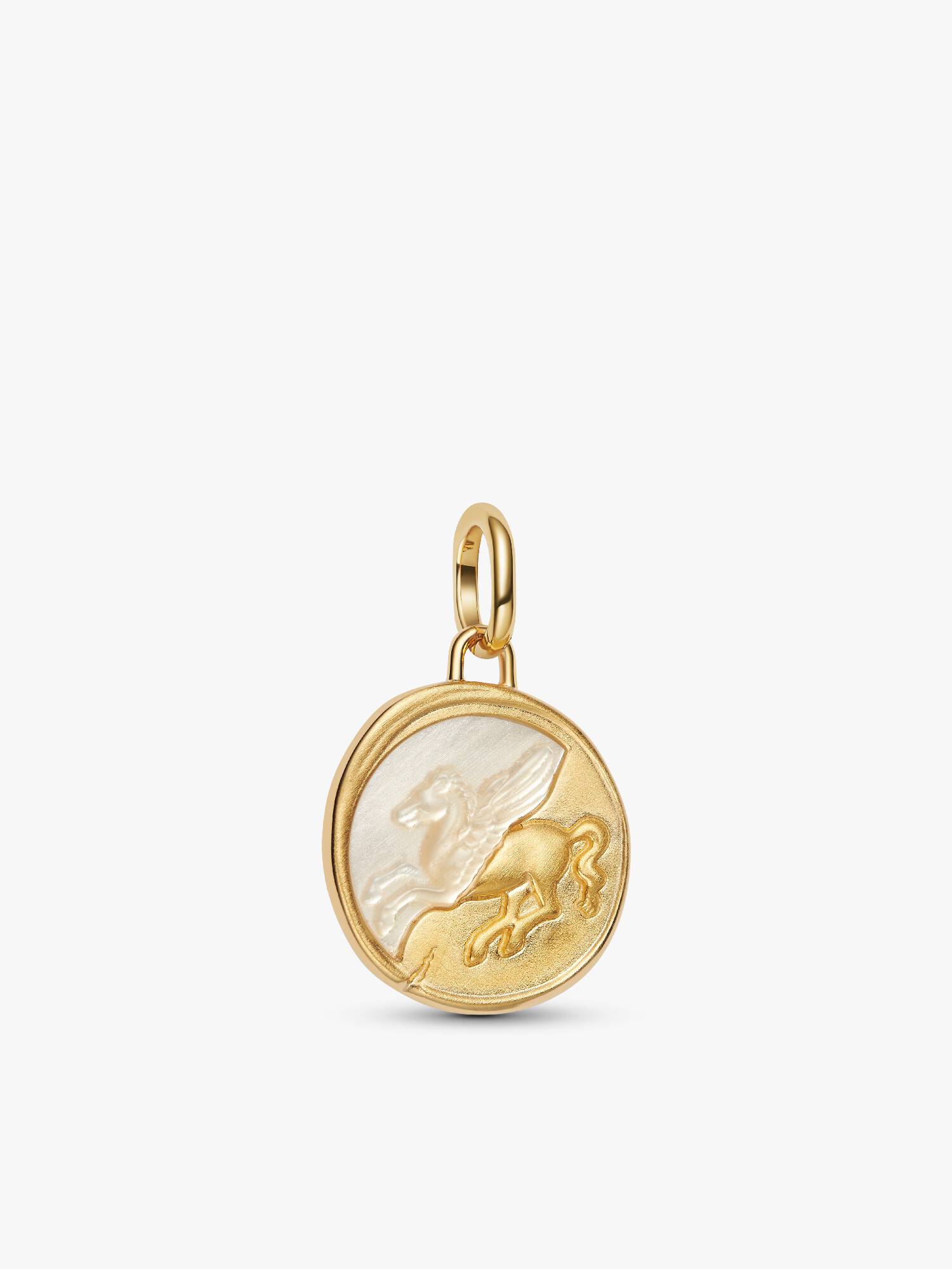 Charm Medalhão Pegasus