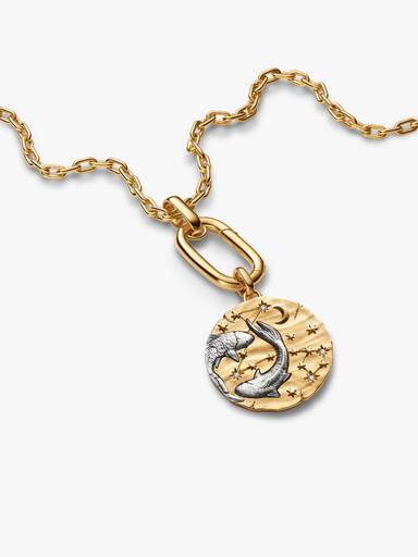 Colar com Pingente Talismã Oversized de Peixes