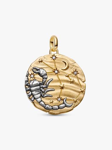 Charm Medalhão Maxi do Zodíaco Signo de Escorpião