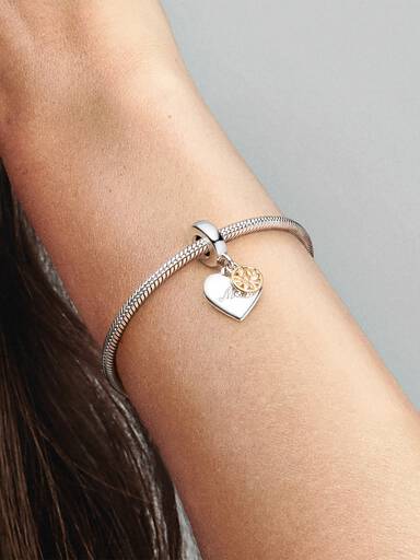 Charm Pendente de dos Tonos Árbol de Familia Y Coração