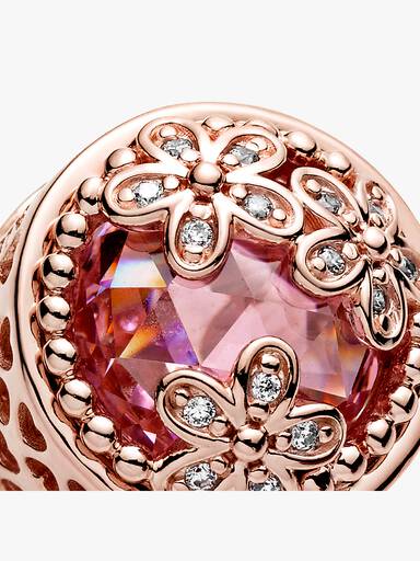 Brilhante Rosa Margarida Flor Charm