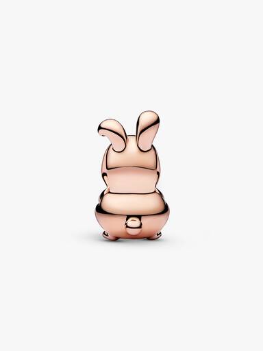 Charm Año Chino Del Conejo