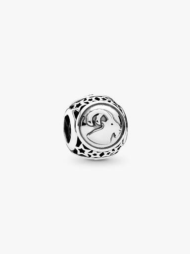 Capricorn star sign silver charm