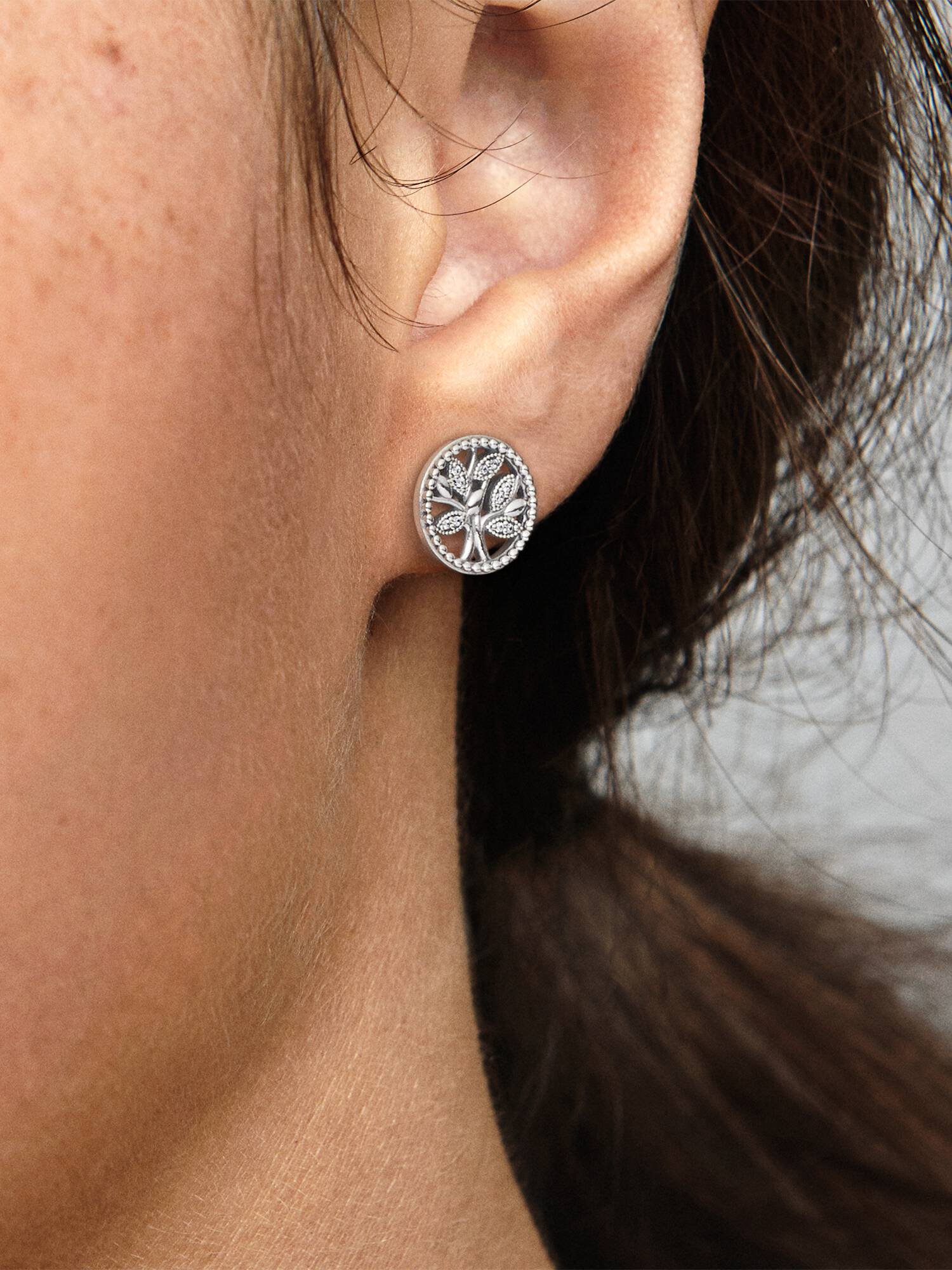 Family tree silver stud earrings with clear cubic zirconia